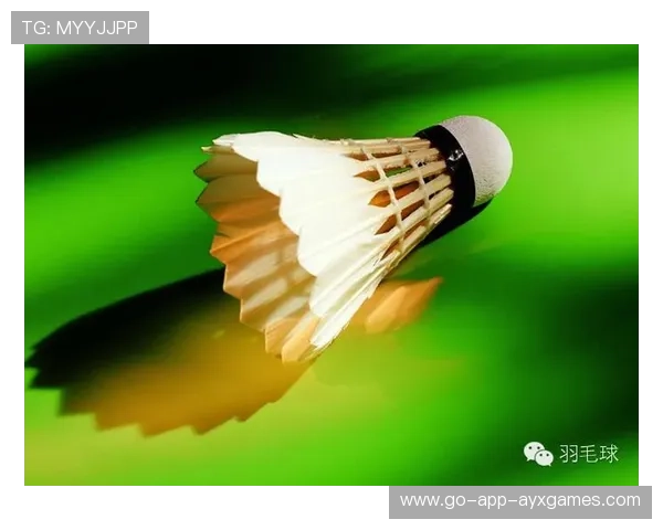 羽毛球赛事场馆运营效率提升实操指南